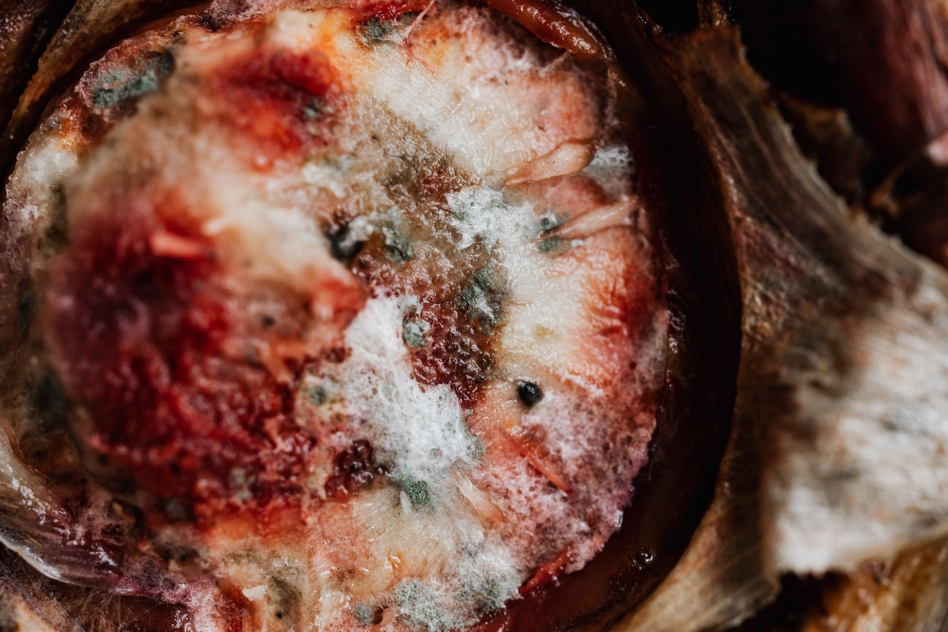 Botrytis — cómo identificar y tratar el hongo